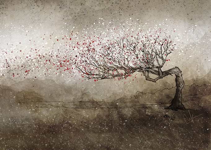 Blooming