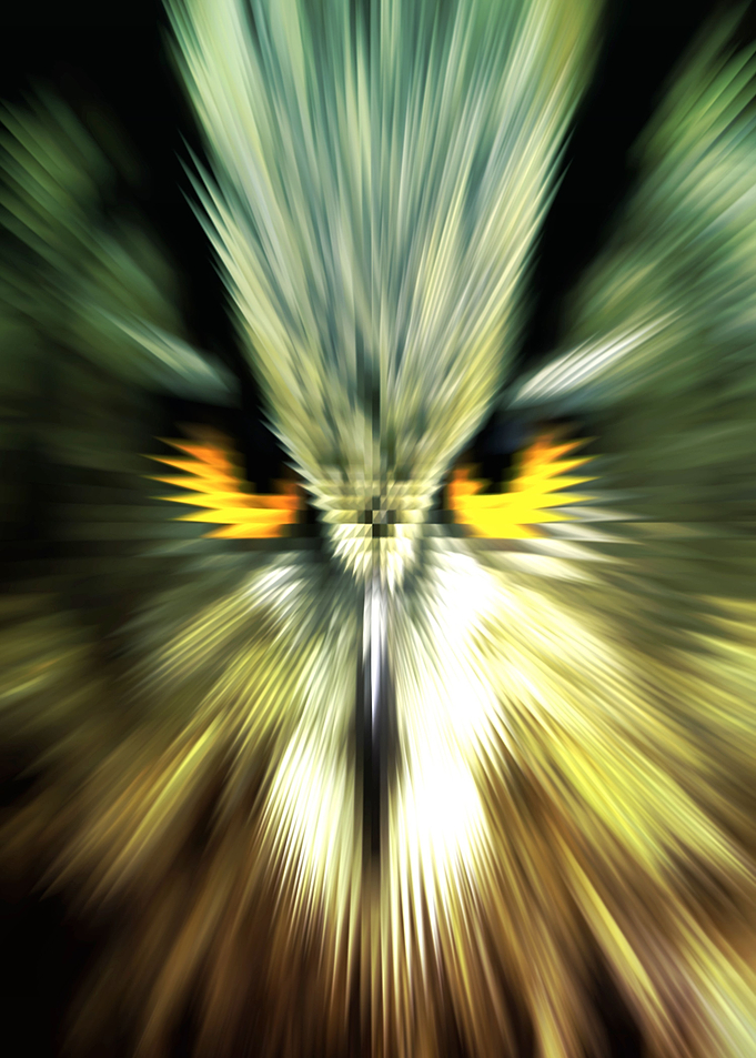 BAD OWL