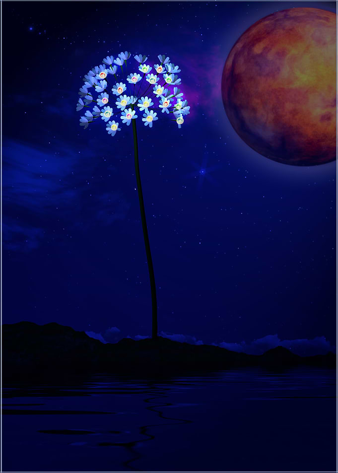 nature from future
