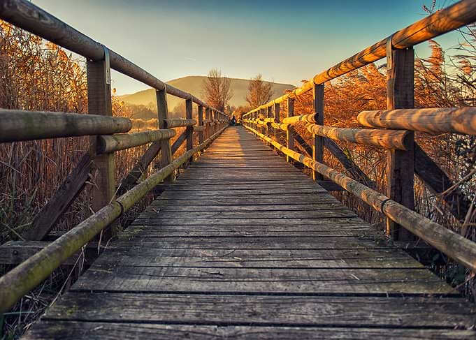 Wood bridge on lake