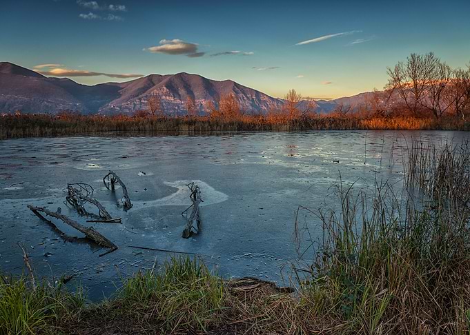 Claw in the ice
