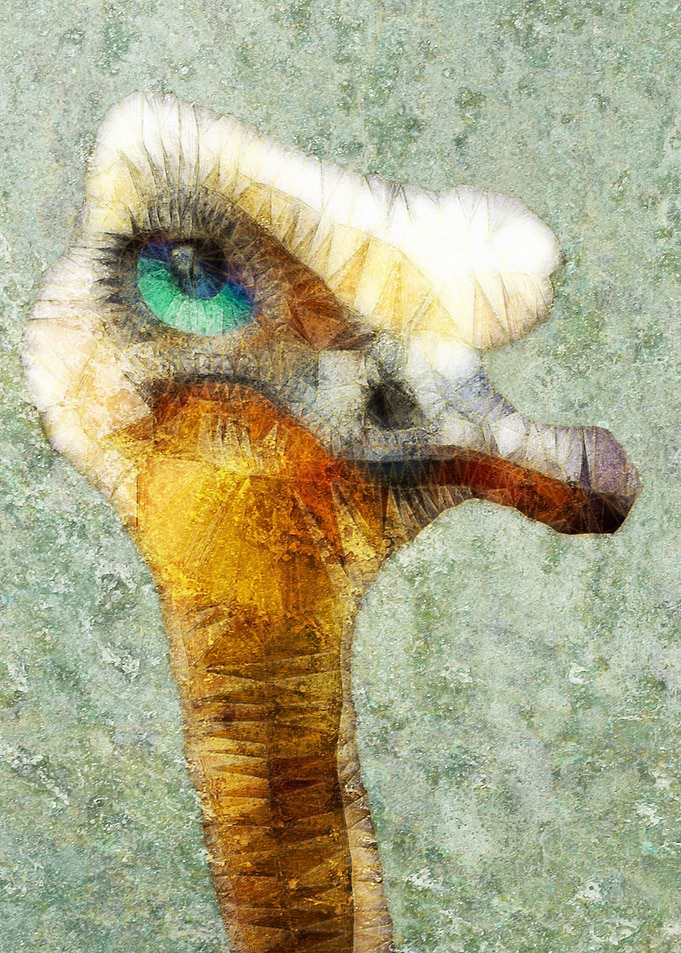 abstract ostrich