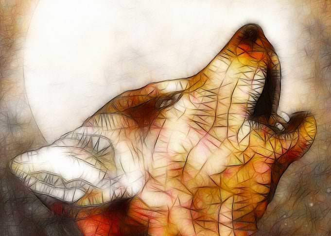 howling wolf