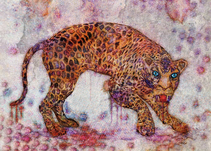 leopard splash