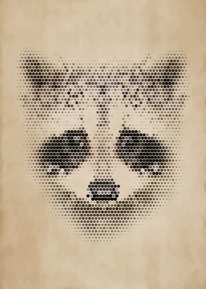 Geometric Raccoon Portrait