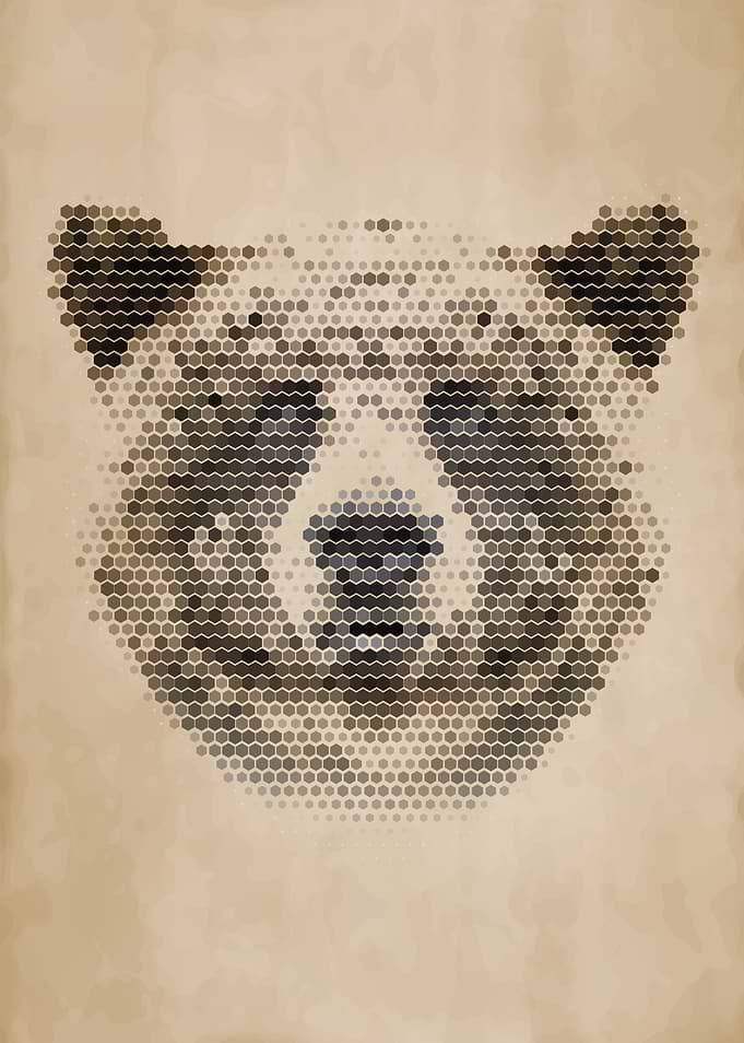 Geometric Bear Portrait