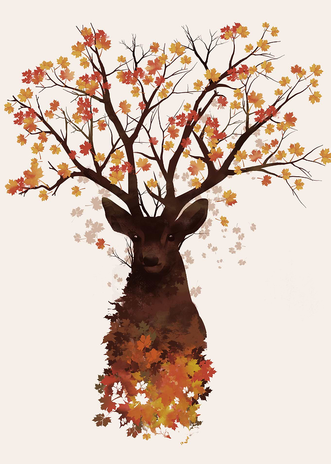 Into the Woods