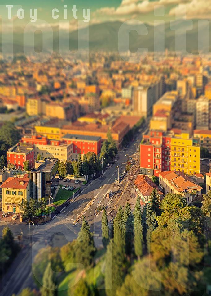 Toy city