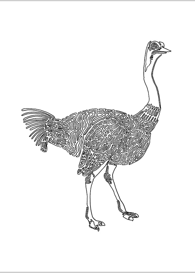Ostrich One Liner