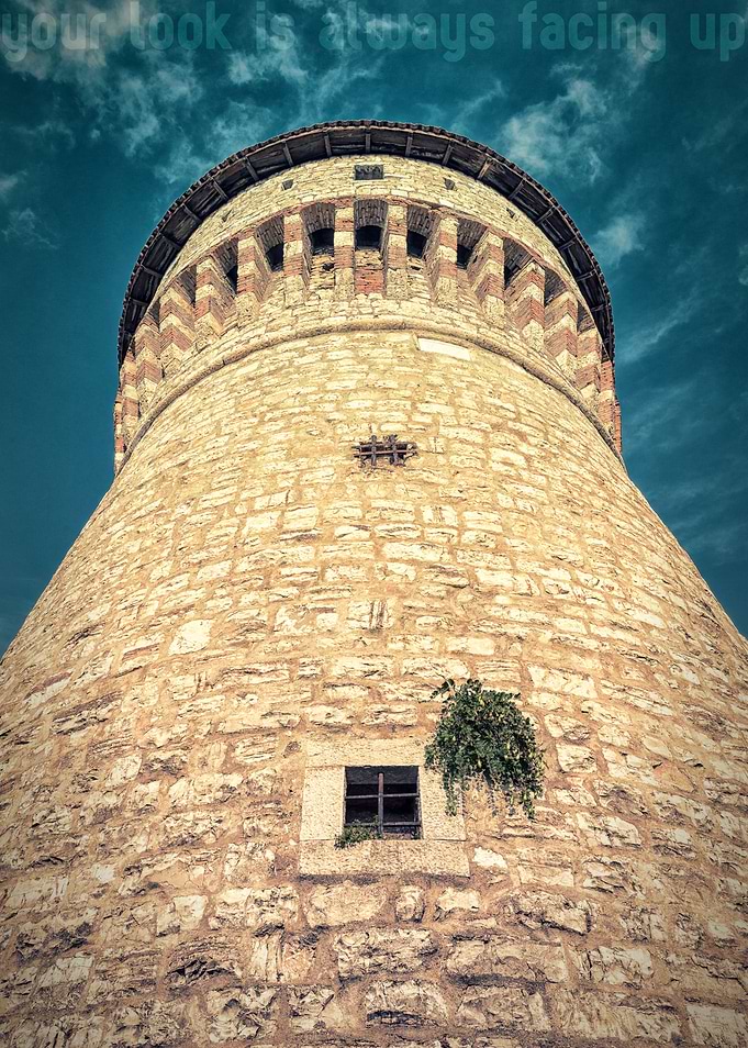 The tower