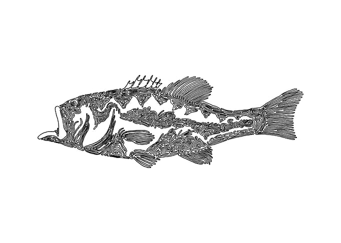 Bass B, One Liner