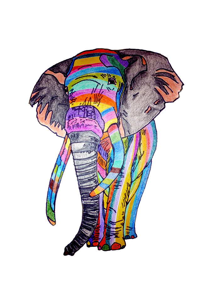 rainbow elephant colorful kids cute funny animals drawi ...