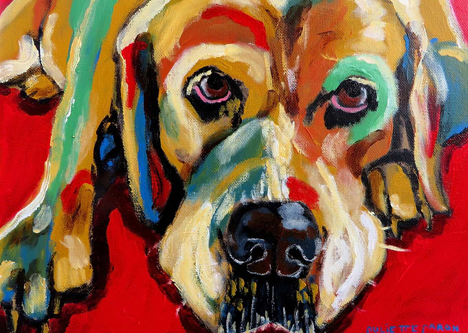 Yellow Lab