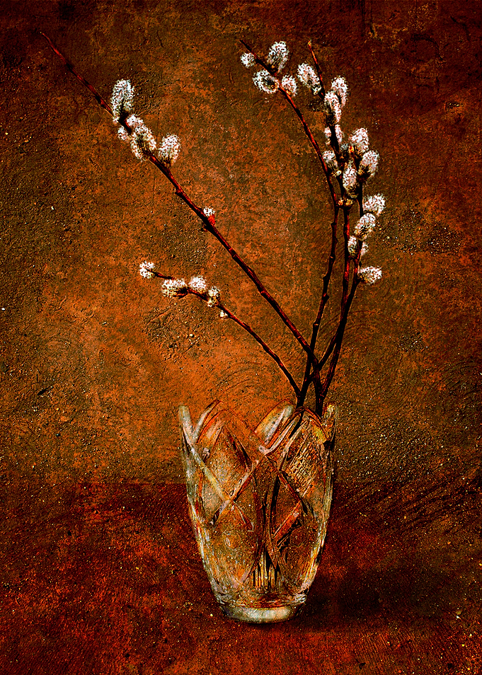 Spring Branch