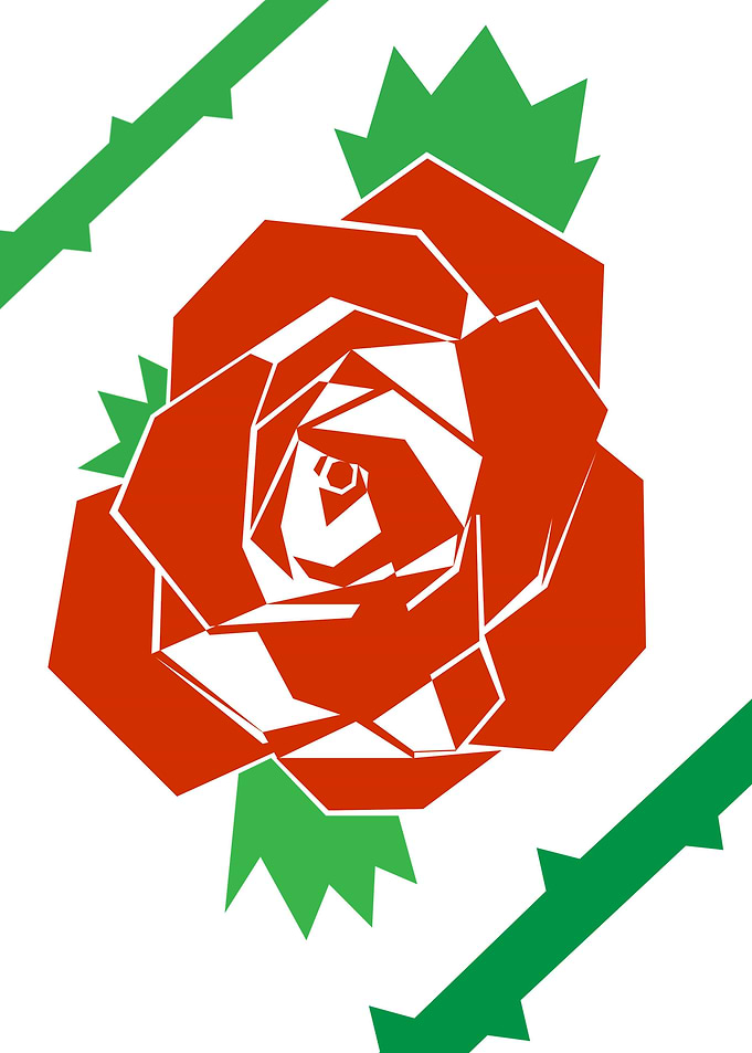 Red Rose