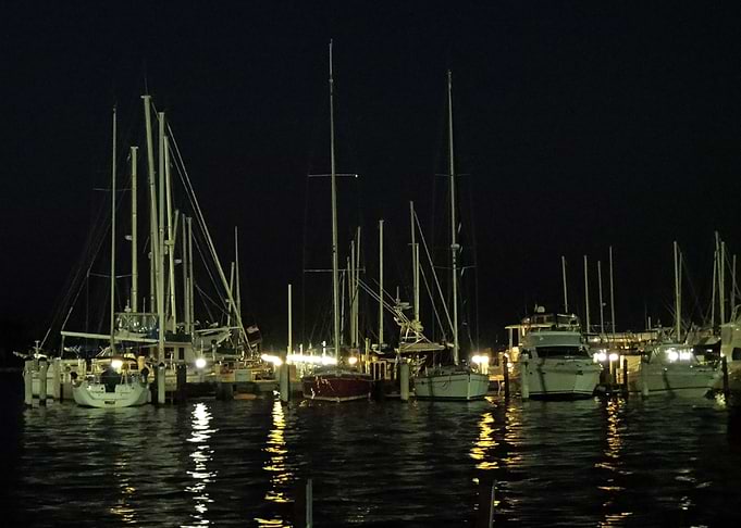 Scotty at Night