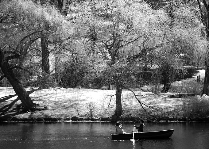 Central Park