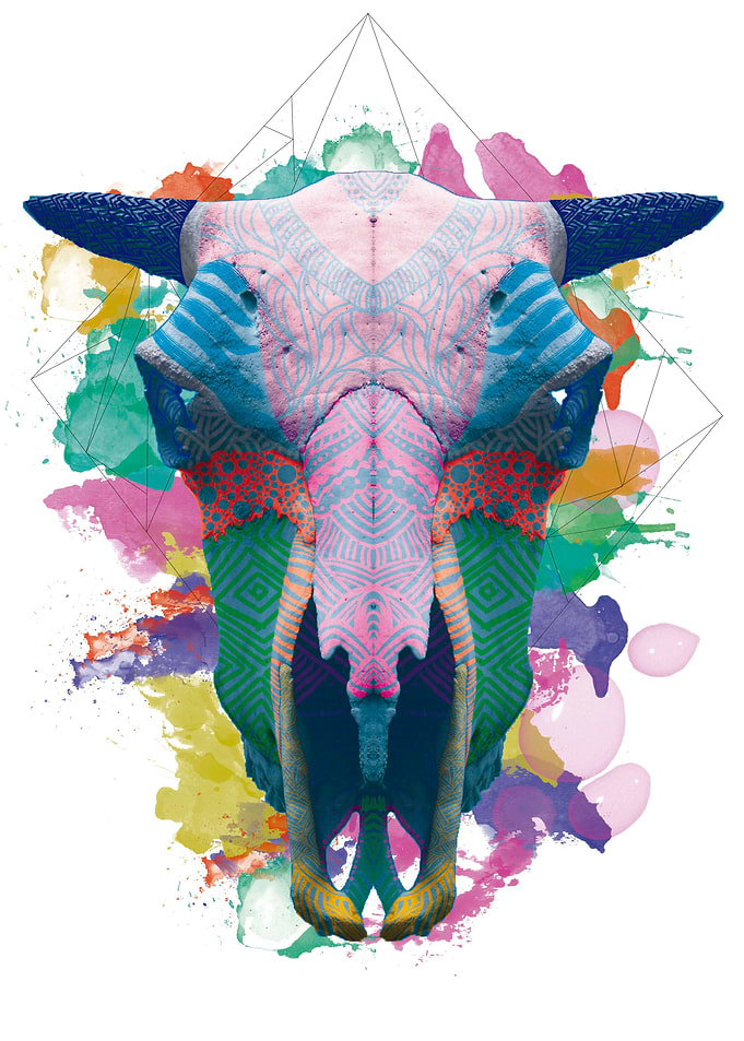 Color Skull