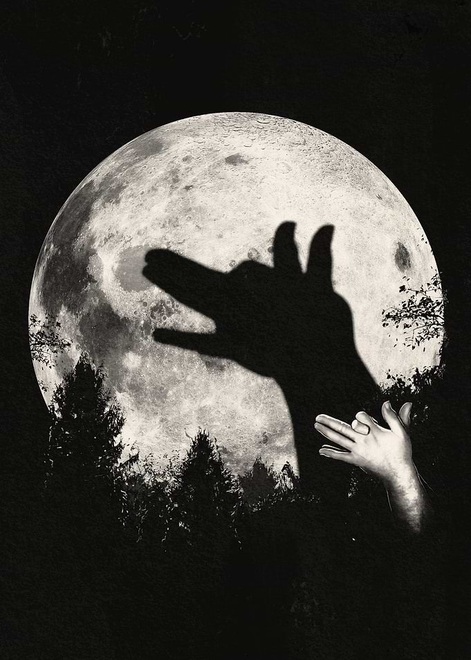 Bark At The Moon!