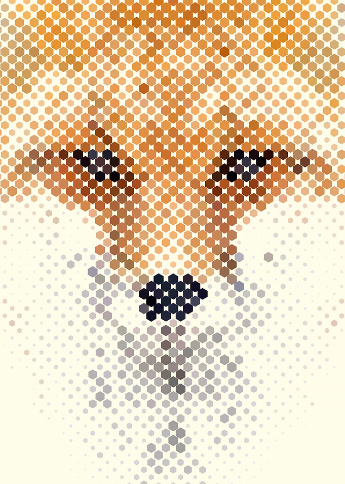 Abstract Fox Portrait