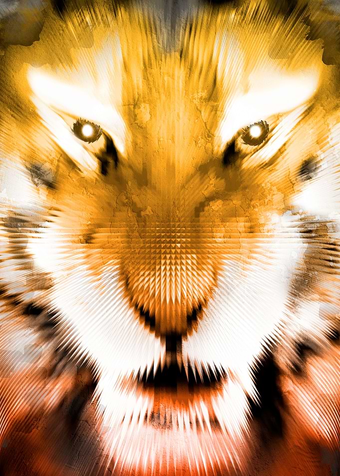 PETIT TYGER