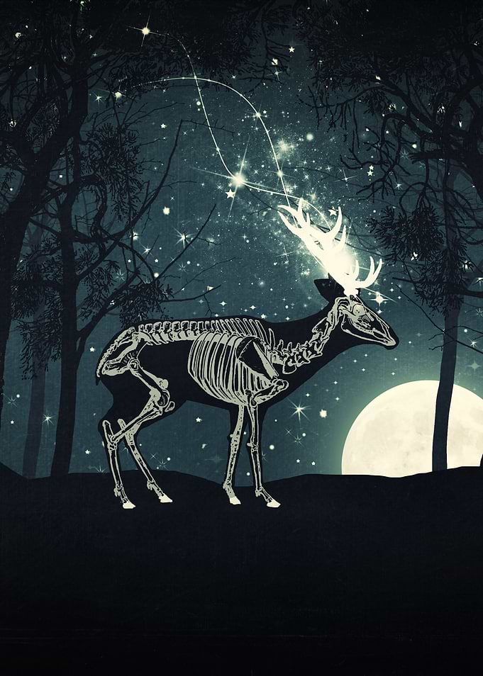 The Forest of the Lost Souls
