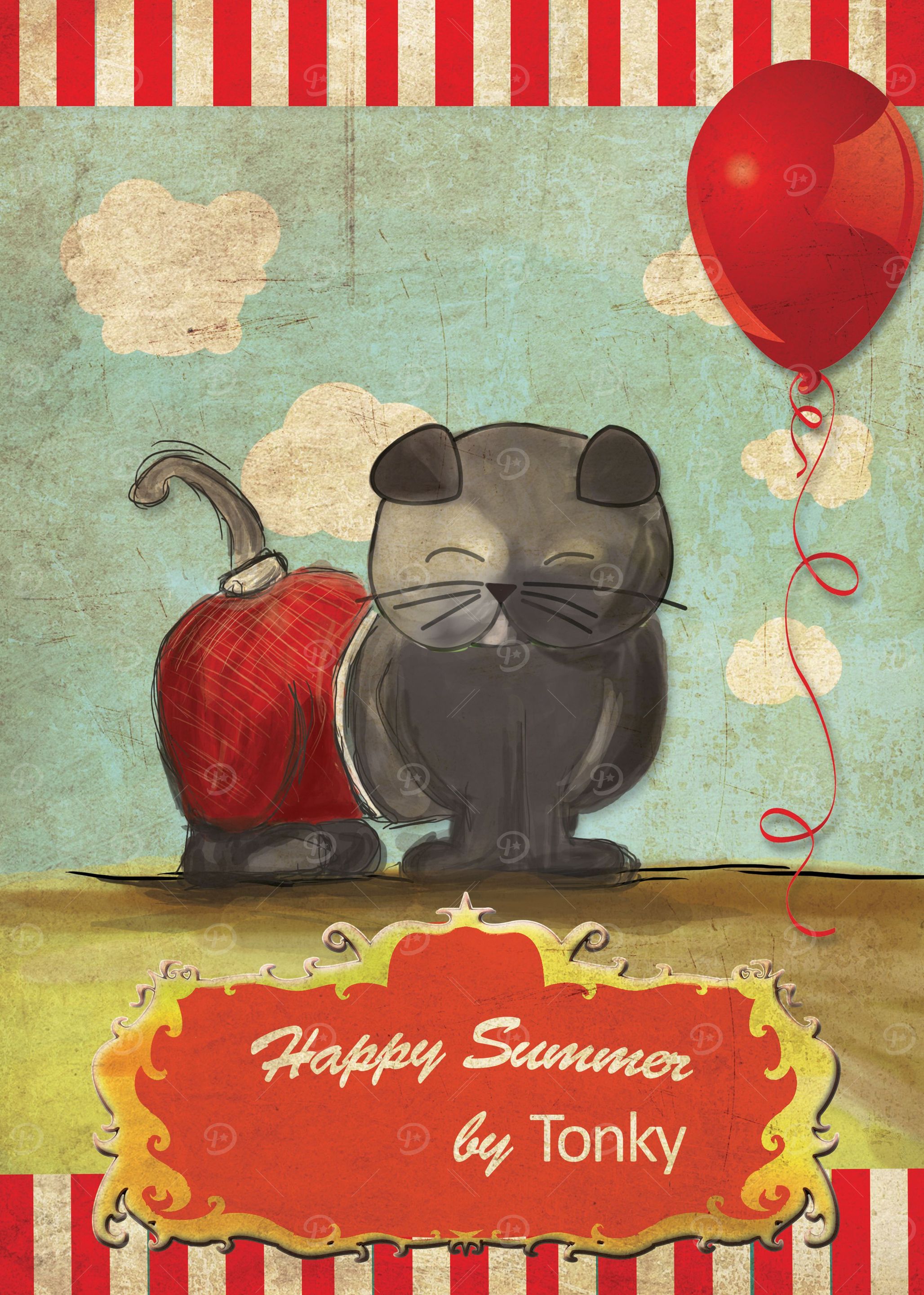 Cat in summer