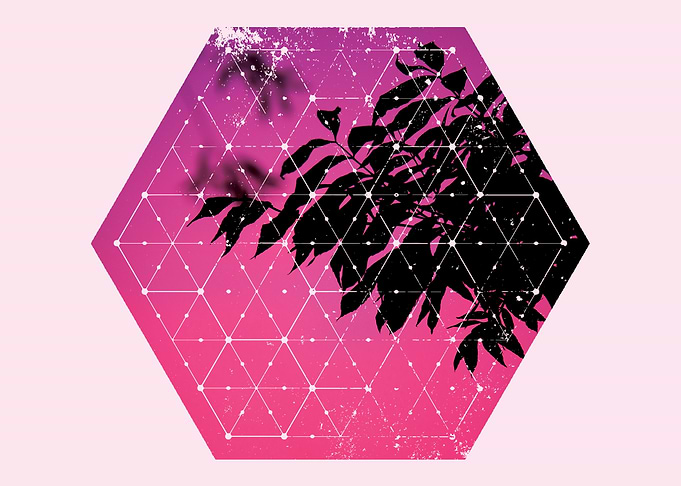 Perfect Nature and Geometry