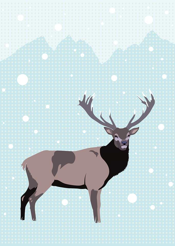 Snow Deer