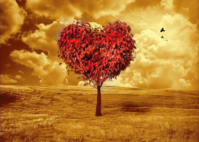 Lonely love