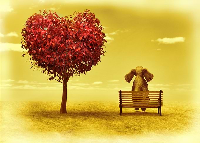 expecting the love
