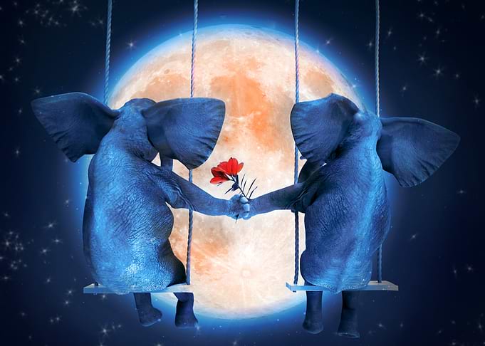 Love under the stars