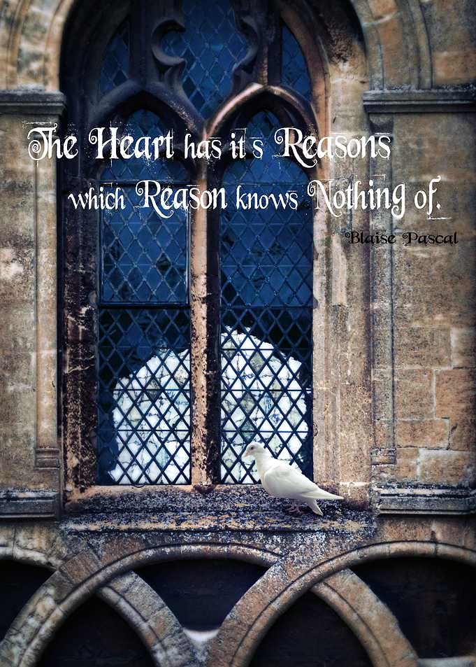 The Heart has it's Reasons