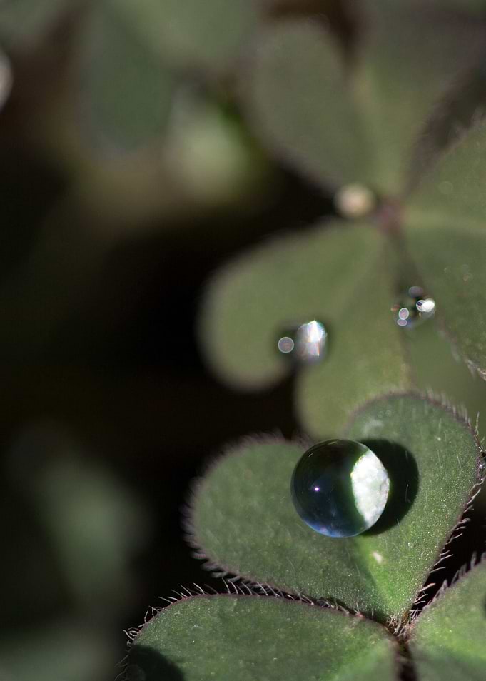 Caught In The Light