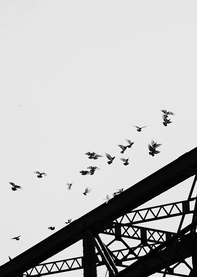 Fly Away