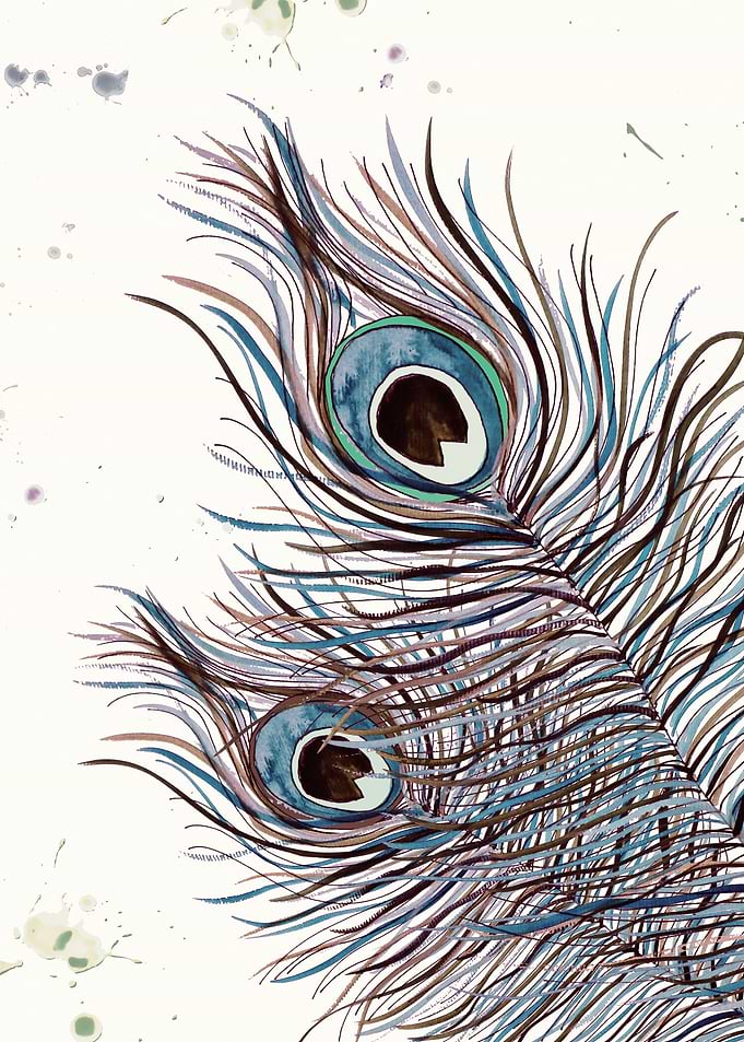 BOHO PEACOCK FEATHERS