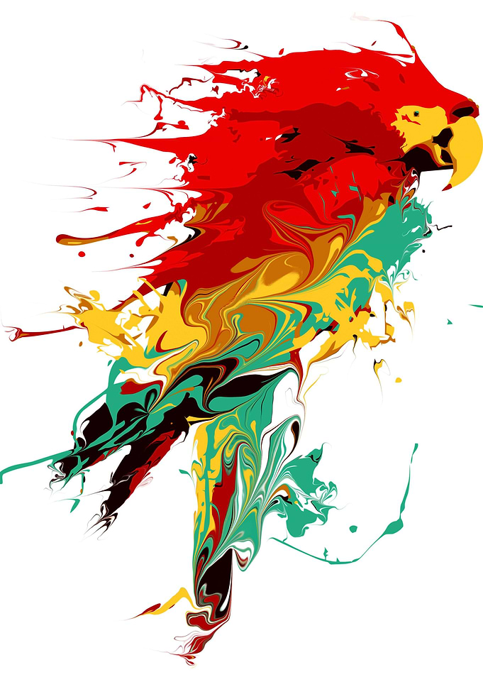 Splash The Parrot