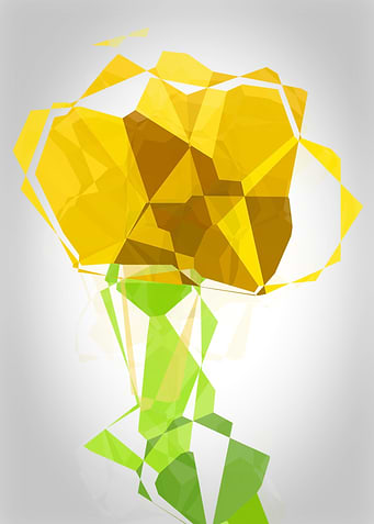 Abstract flowers