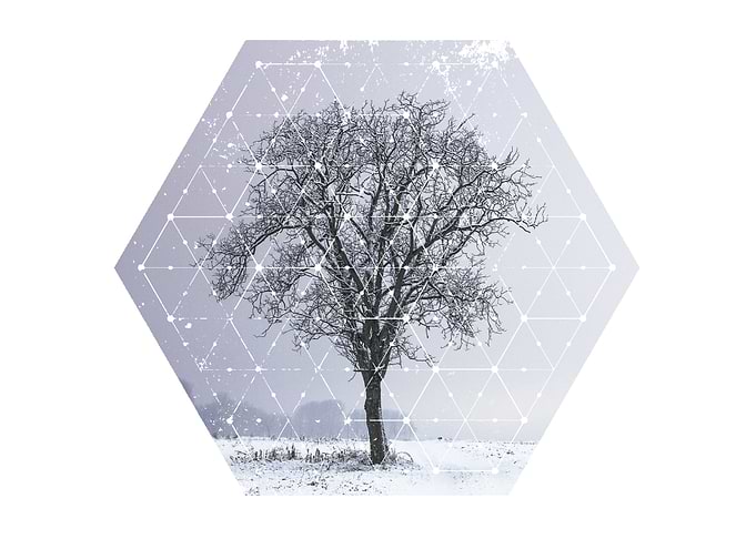 Perfect Nature and Geometry
