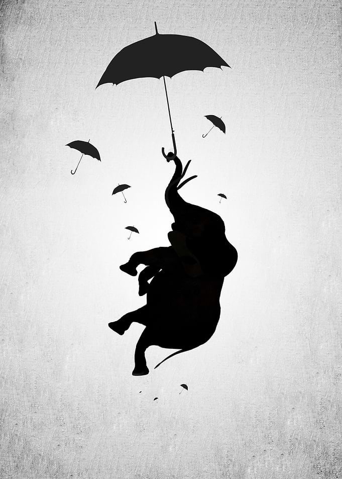 flying elephant