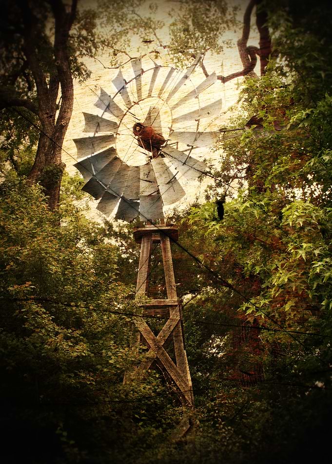 Abandoned Dreams