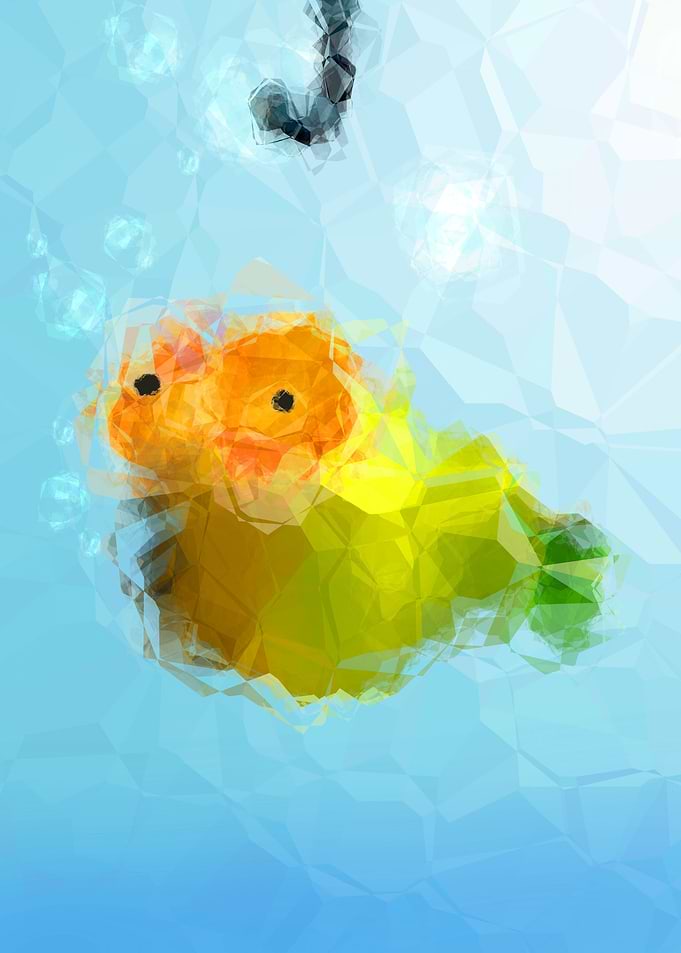 Fish takes the bait