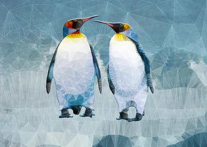 penguin love