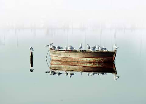 Resting On A Boat