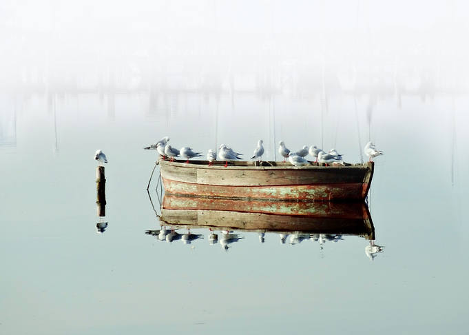 Resting On A Boat