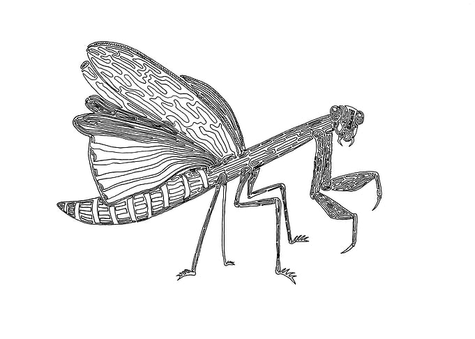 Mantis, One Liner