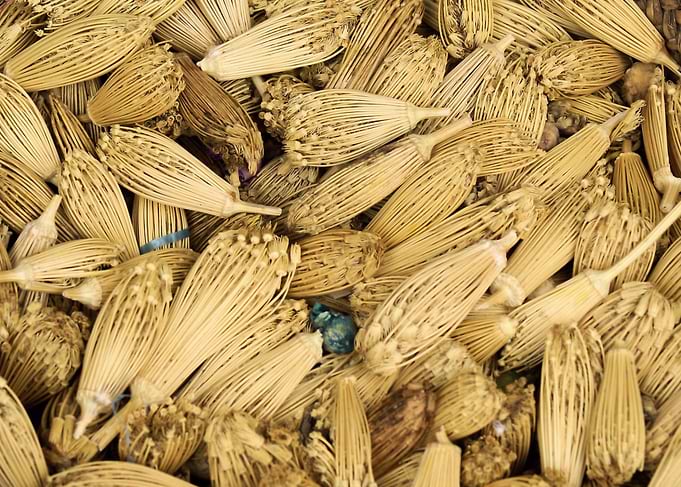 Dried Herbs