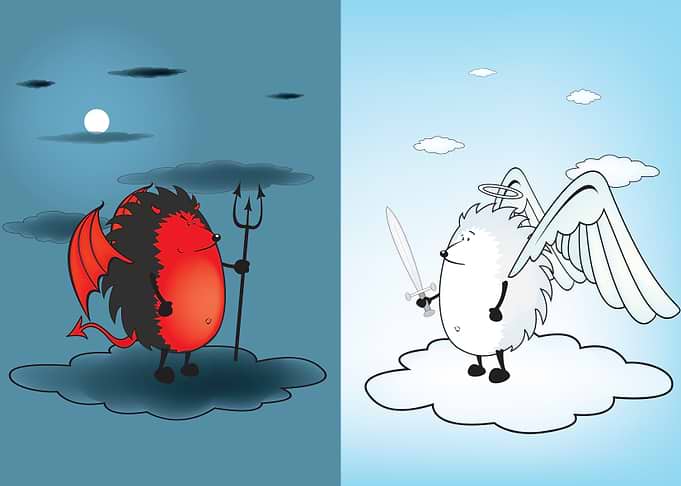 Bad hedgehog / Good hedgehog