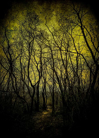 Searching For The Witch