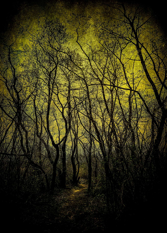Searching For The Witch